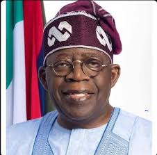 You are currently viewing Keep faith with Tinubu for dividends of democracy, group tells Nigerians