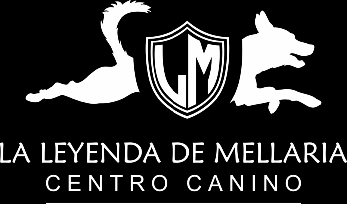 logo-footer2 mostbet az casino