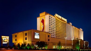 spicy bet casino online