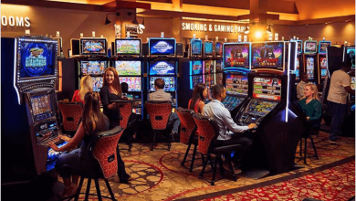 jackpot piraten casino login