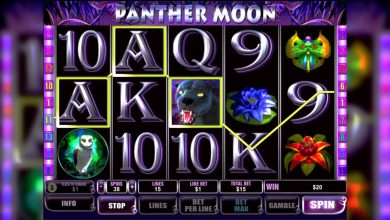 mostbet registration