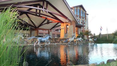 lemon casino kod na darmowe spiny