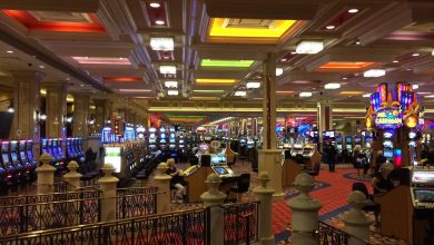 starcasino sport