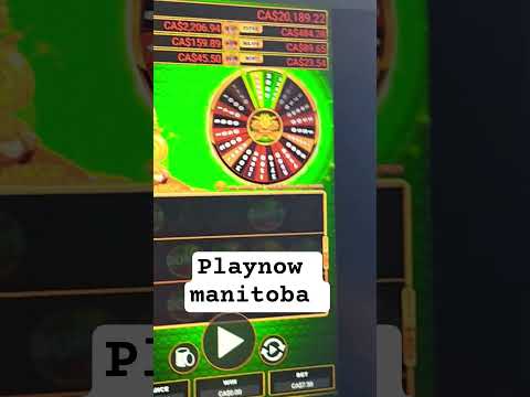 wildsino registration