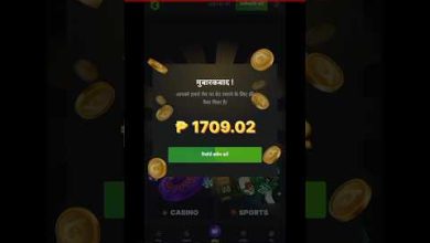 wildsino no deposit bonus