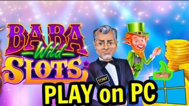 wildsino erfahrungen