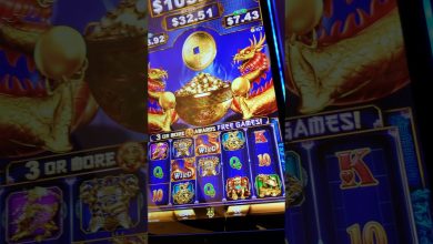 bison casino kod promocyjny bez depozytu